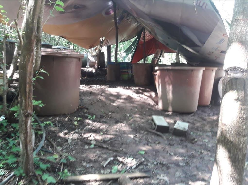 Destruyen cuatro laboratorios clandestinos en Culiacán