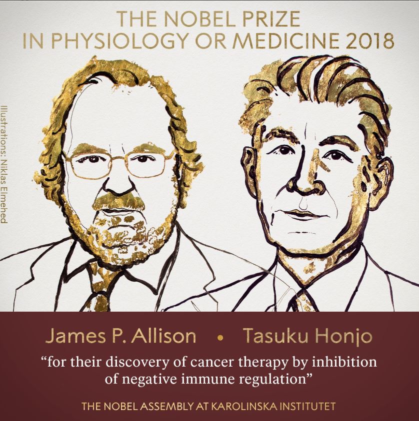 Estadounidense Allison y japonés Honjo ganan el Nobel de Medicina