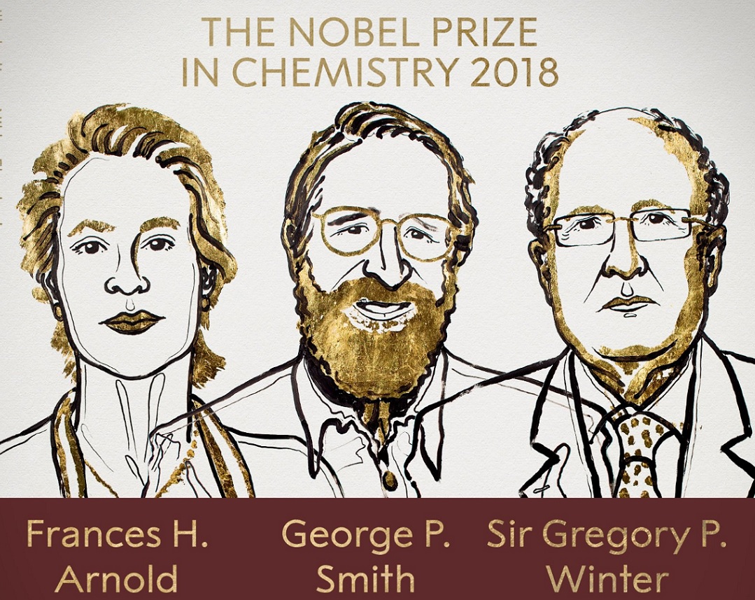 Nobel de Química para Arnold, Smith y Winter, por avances en desarrollo de proteínas
