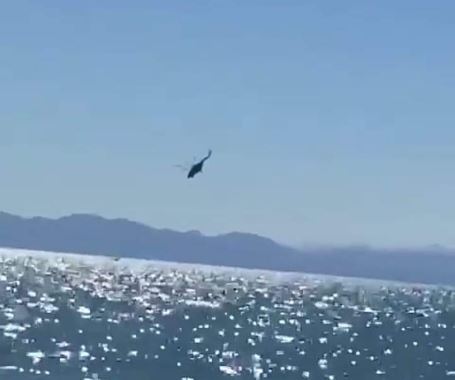helicoptero marina cae sonora golfo californira