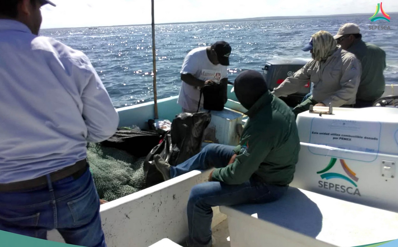 Lluvias y alto oleaje afectan a pescadores de Campeche