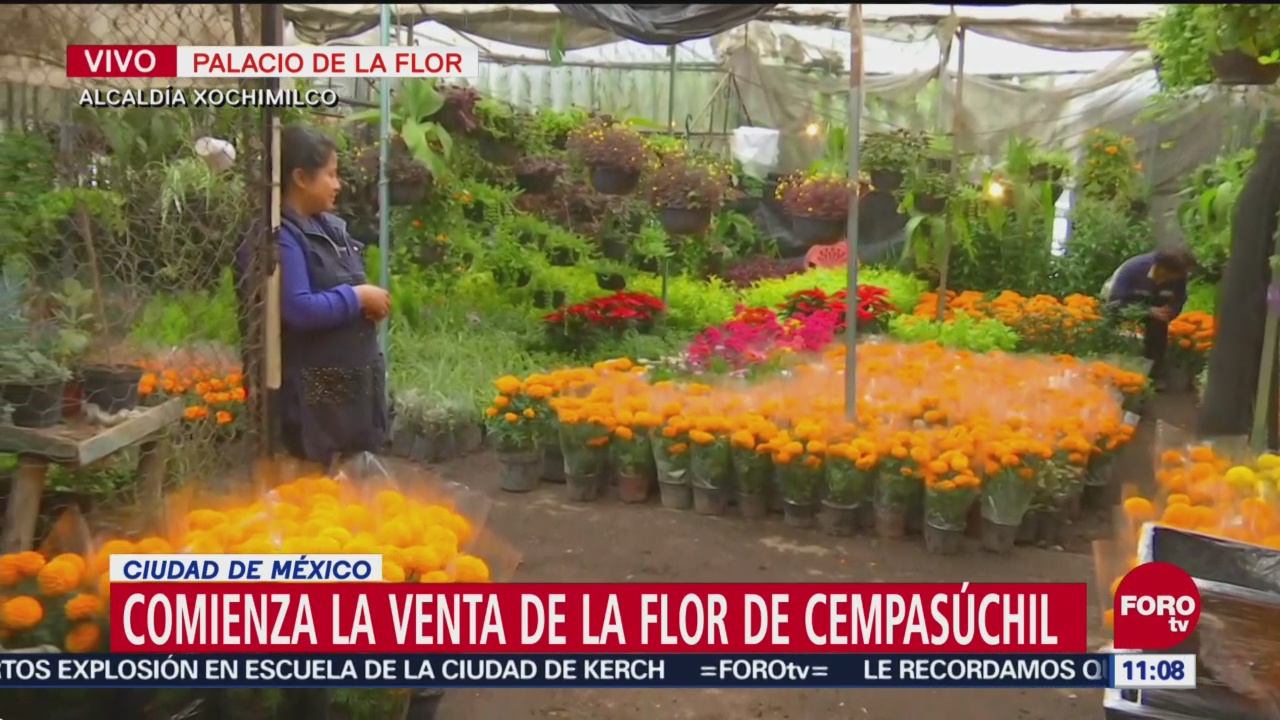 Comienza la venta de flor de cempasúchil
