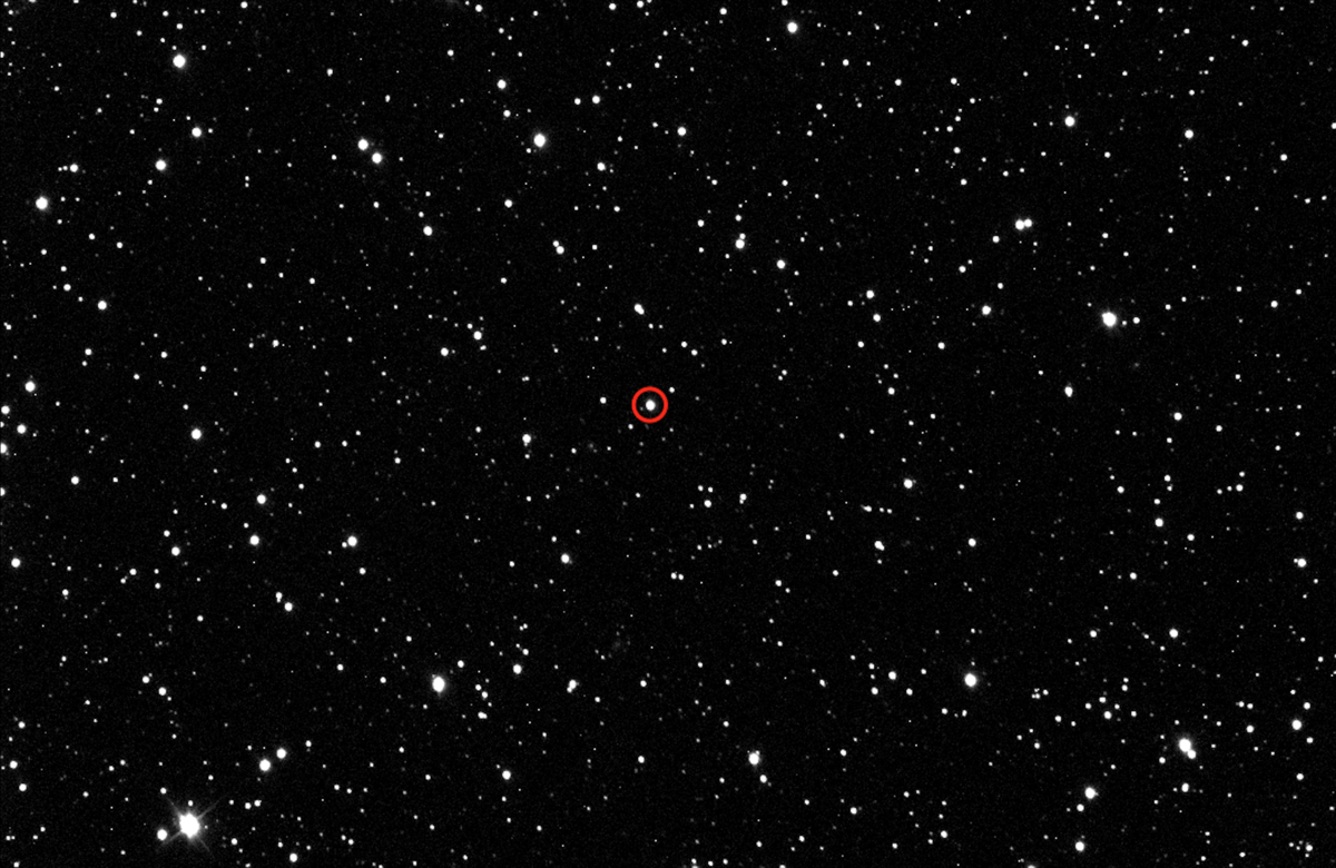 predicen-colision-estrellas-2022-espectaculo-cielo-KIC-9832227