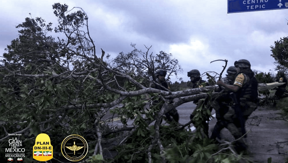Soldados retiran árboles caídos en Sinaloa tras paso de Willa 