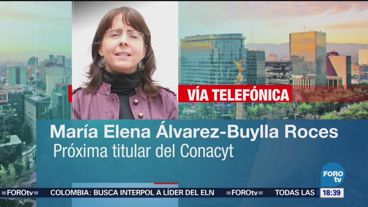 Solicitud al Conacyt es para hacer mejor planeación: Álvarez-Buylla