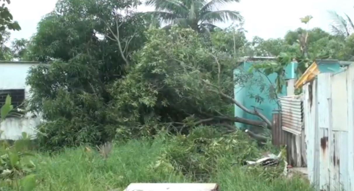 Tornado afecta Estero del Pantano en Cosoleacaque, Veracruz 