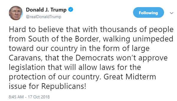 Trump: Protección fronteriza será tema primordial en legislativas