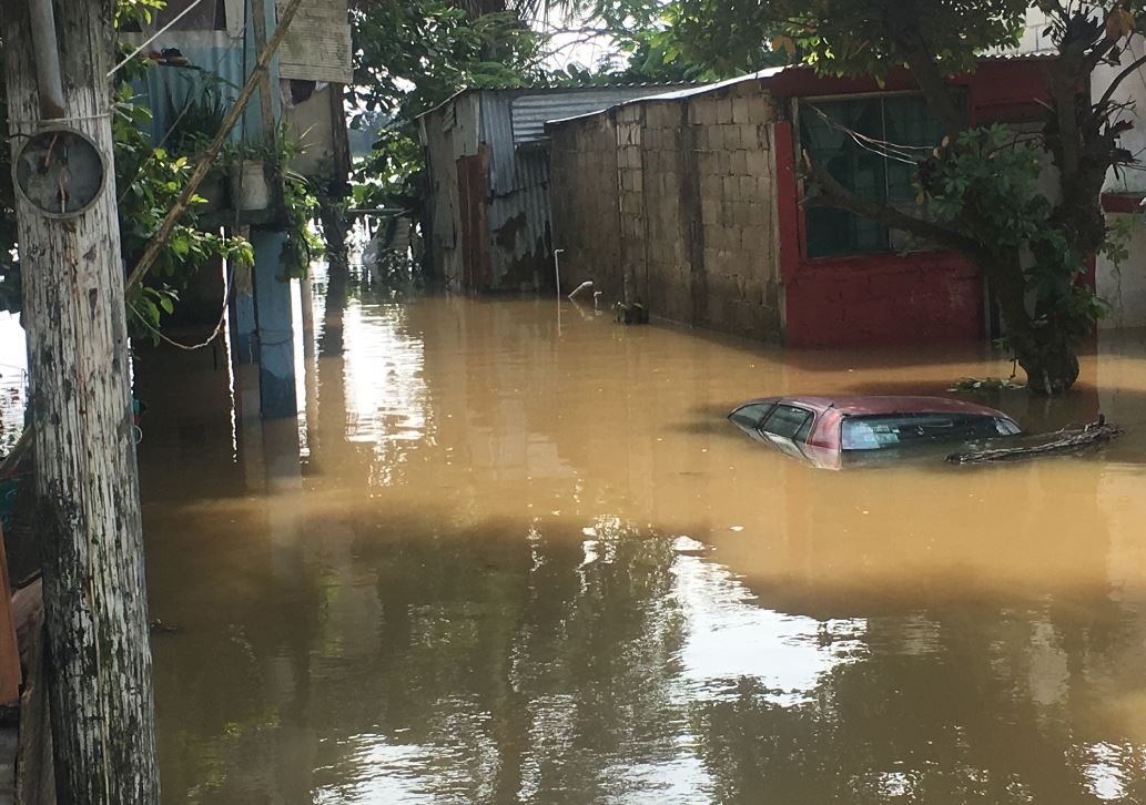 Veracruz fumiga zonas inundadas para evitar brotes de zika y chikungunya