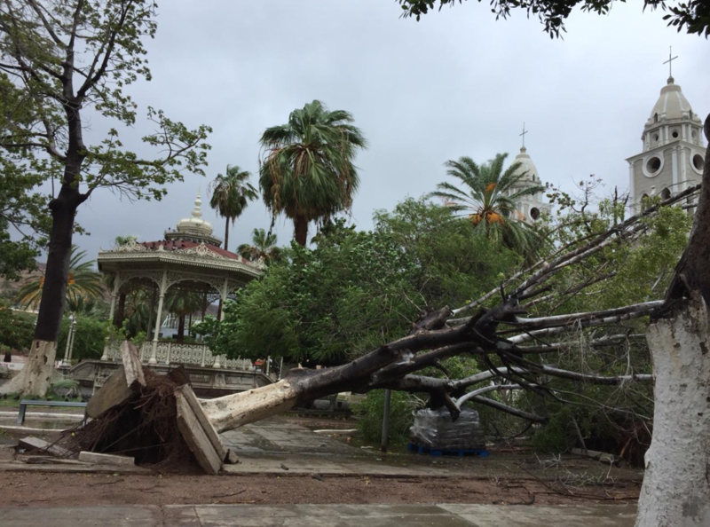 'Sergio' deja daños materiales tras su paso en Guaymas, Sonora