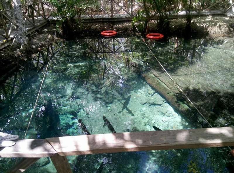 san crisanto reserva natural conservacion yucatan
