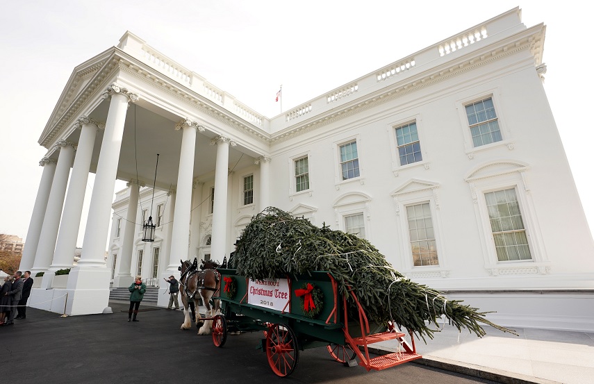 Trump da la bienvenida al árbol de Navidad de la Casa Blanca