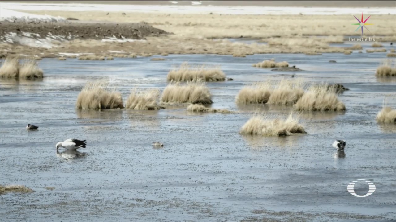 Atacama: Lluvias Matan Microbiota Desierto Seco Mundo