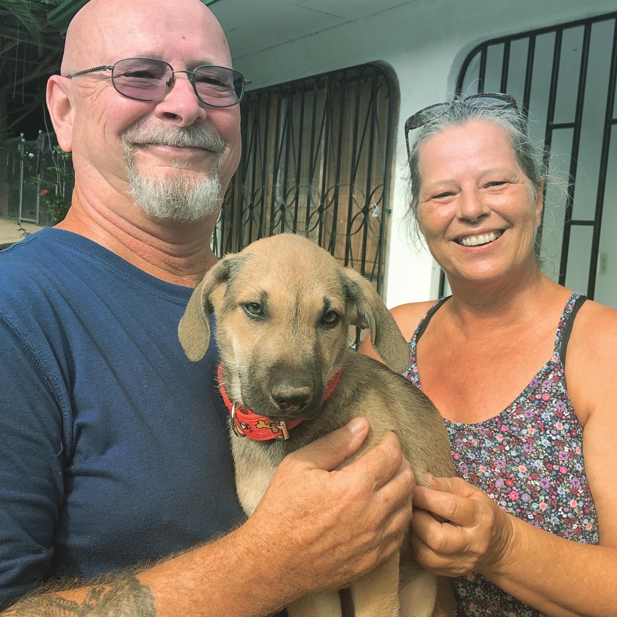 Buster, uno de los cachorros machos de Marie, fue adoptado por una pareja de Costa Rica el miércoles 7 de noviembre (Tania Capelutti Facebook)
