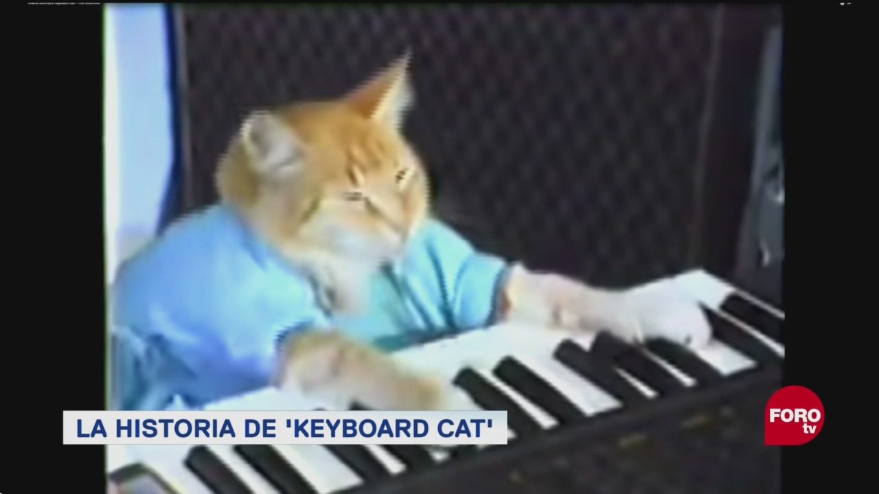 El Famoso Meme Keyboard Cat Famosas Imágenes Internet Meme Que Lo Inició Todo
