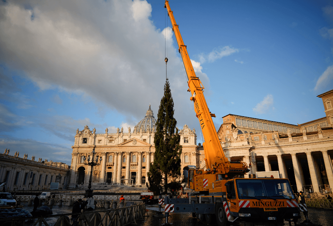 El tradicional árbol de Navidad llega al Vaticano