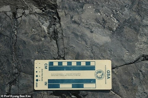 Descubren huellas del dinosaurio más pequeño del mundo