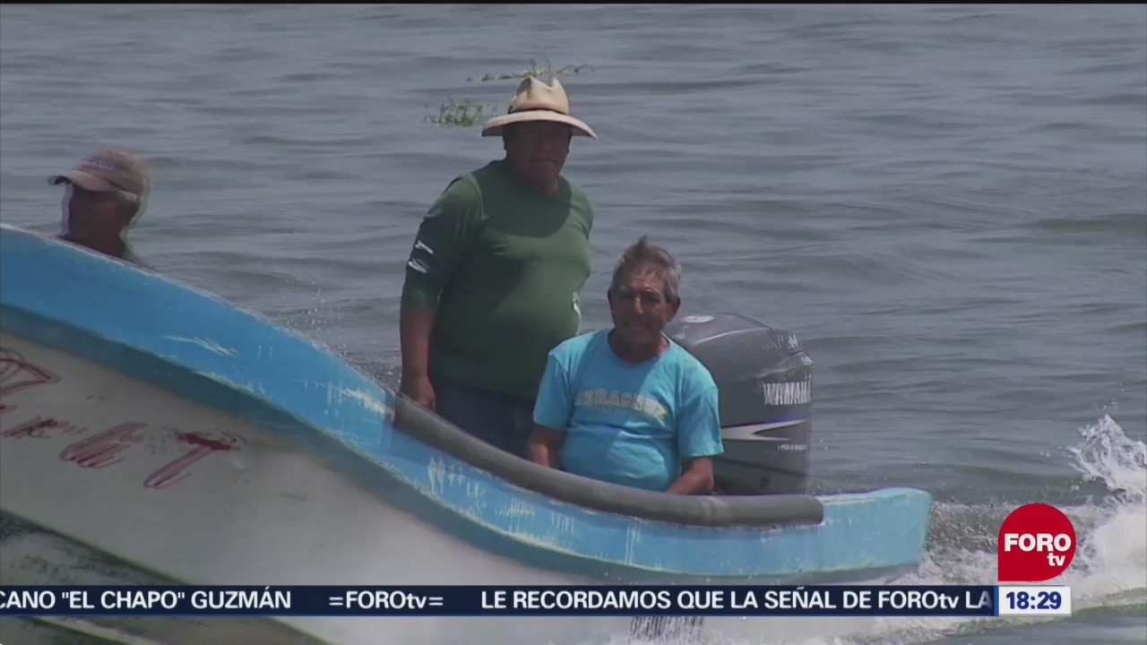 Frente frío favorece a pescadores en Veracruz
