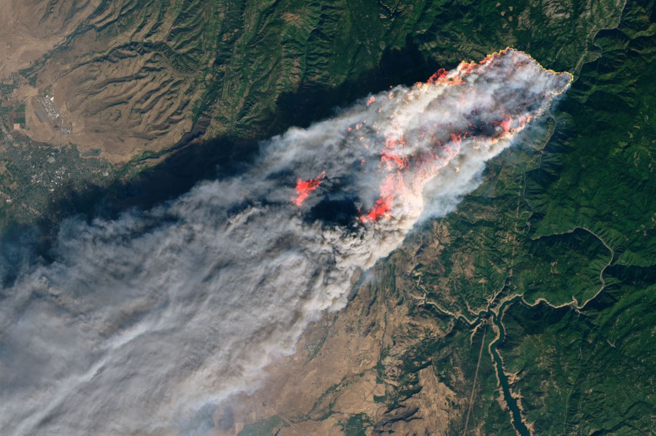 Incendios en California, por calentamiento global: Brown