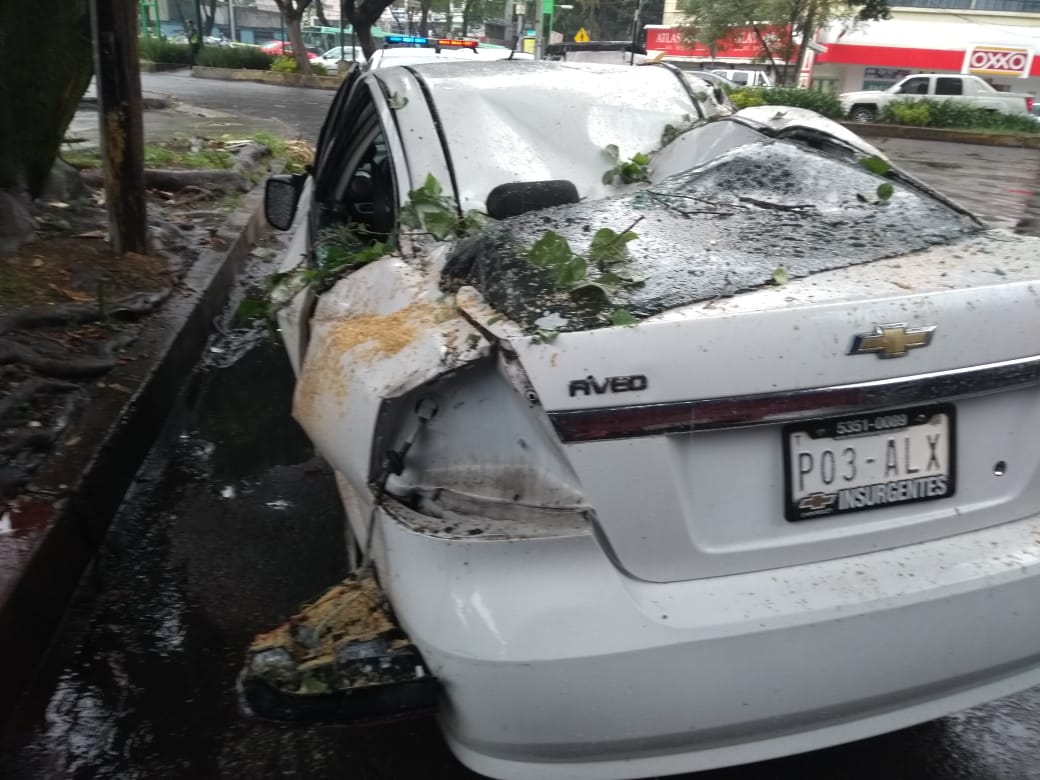 Lluvia en CDMX provoca caída de árbol, que aplastó tres autos
