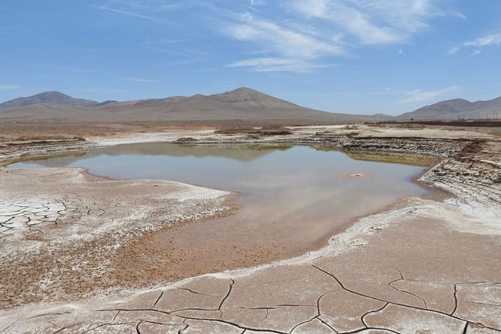 Atacama: Primeras lluvias en 5 siglos fulminan la microbiota del lugar más seco de la Tierra