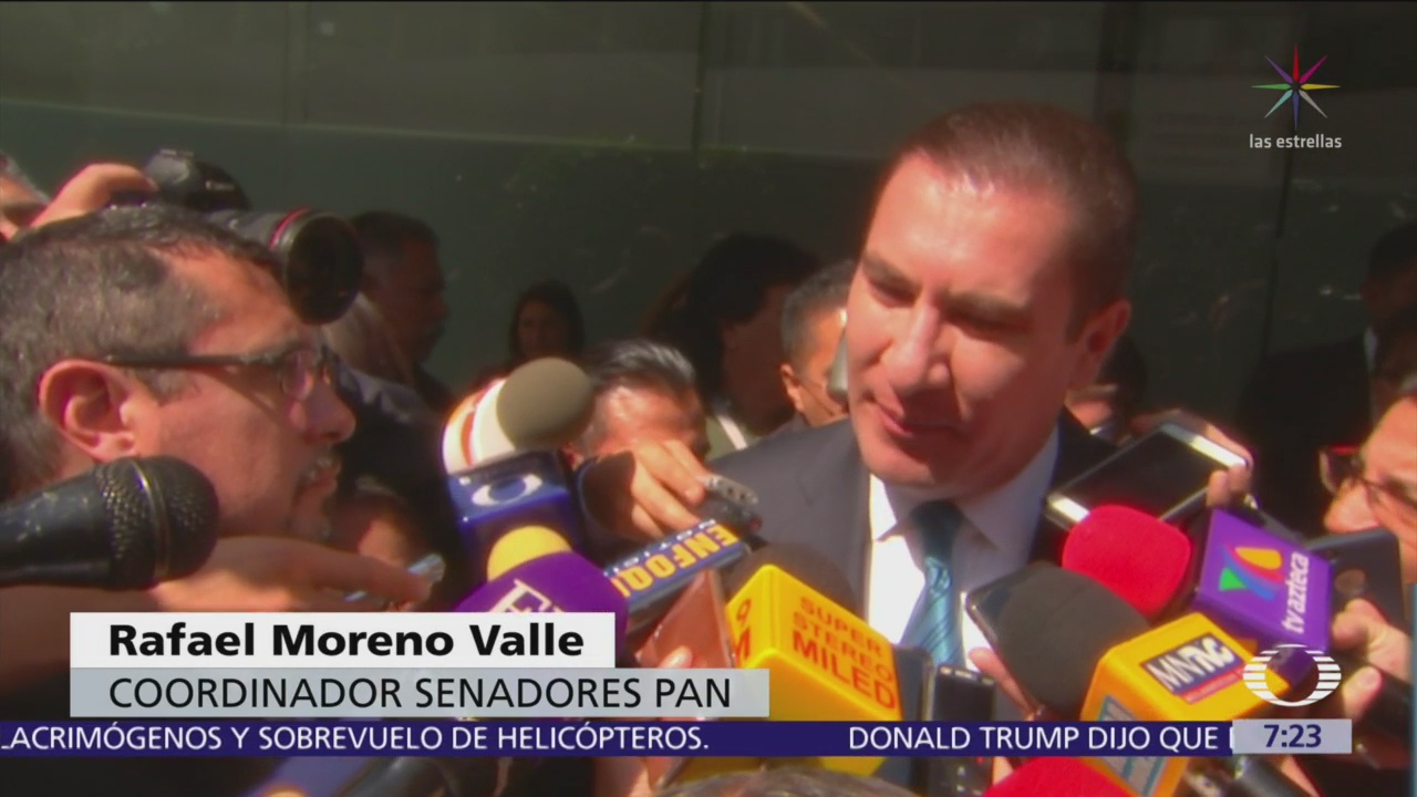Rafael Moreno Valle, nuevo coordinador del PAN en el Senado