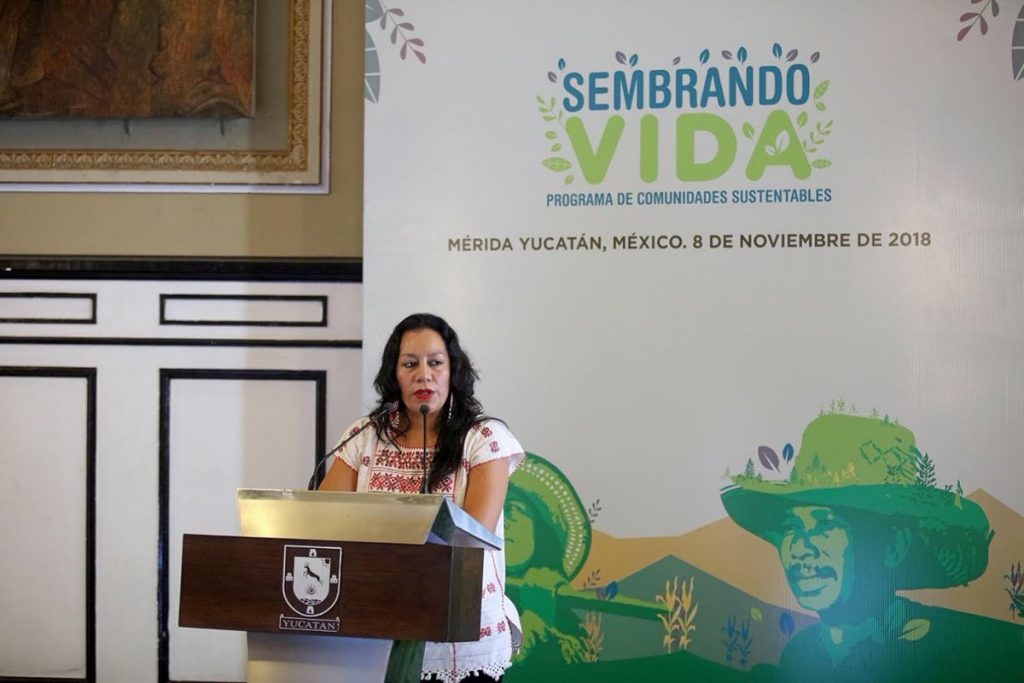 María Luisa Albores, próxima secretaría de Desarrollo Socia