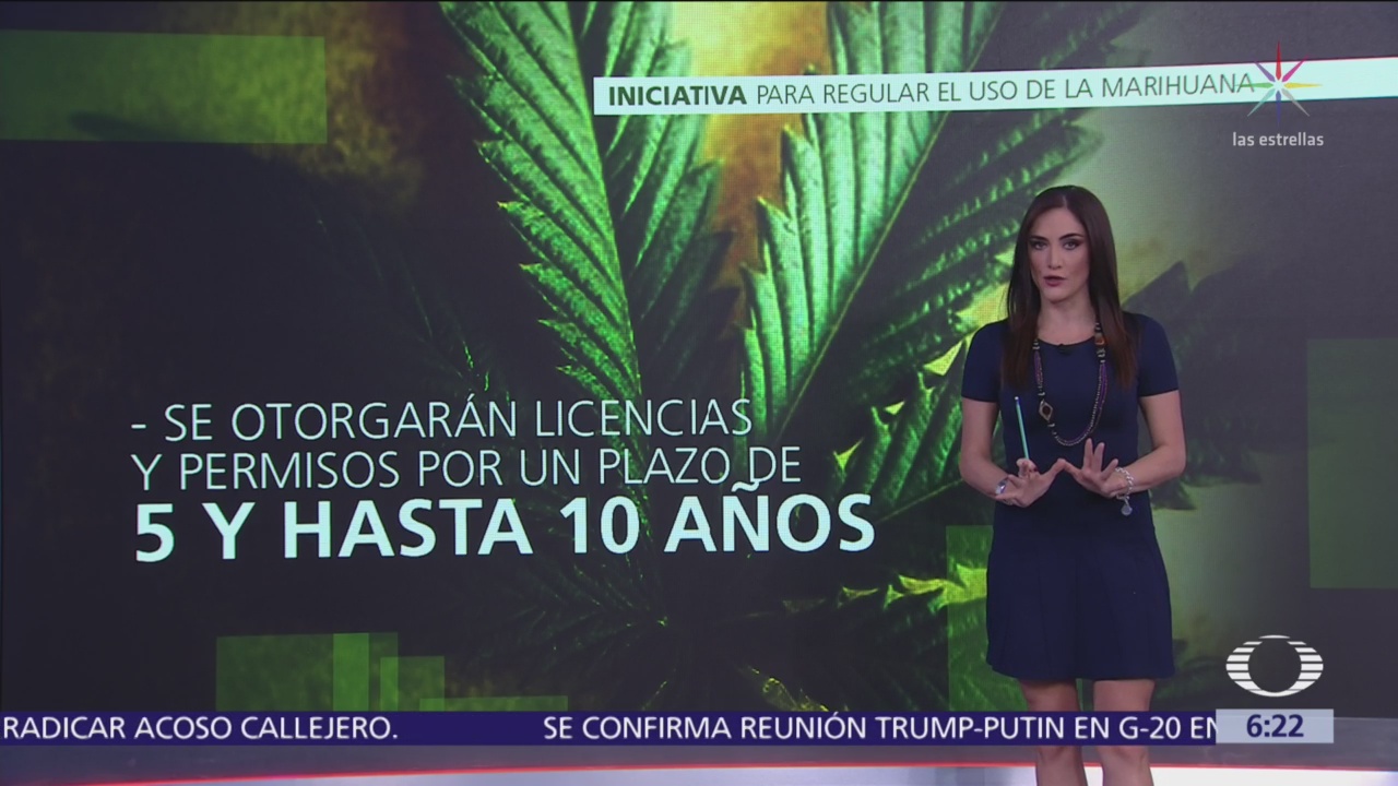 Morena presentará iniciativa para regular el uso de la marihuana