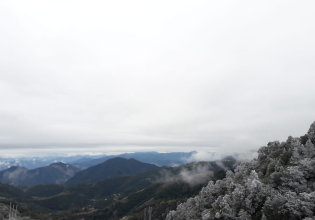 Frente frío provoca intensas nevadas en sierra de Querétaro