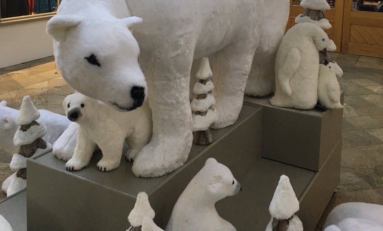 Osos polares suben de tono exhibición navideña en Reino Unido por polémica pose