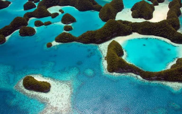 Palau ha prohibido el uso del bloqueador solar en sus playas, pues sus ingredientes dañan los arrecifes de coral, vitales para su economía (Phys.org)
