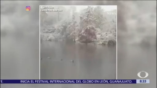 Cae la primera nevada en Central Park