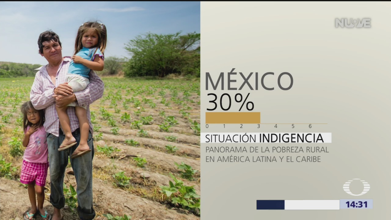 Presenta FAO informe sobre pobreza rural en América Latina