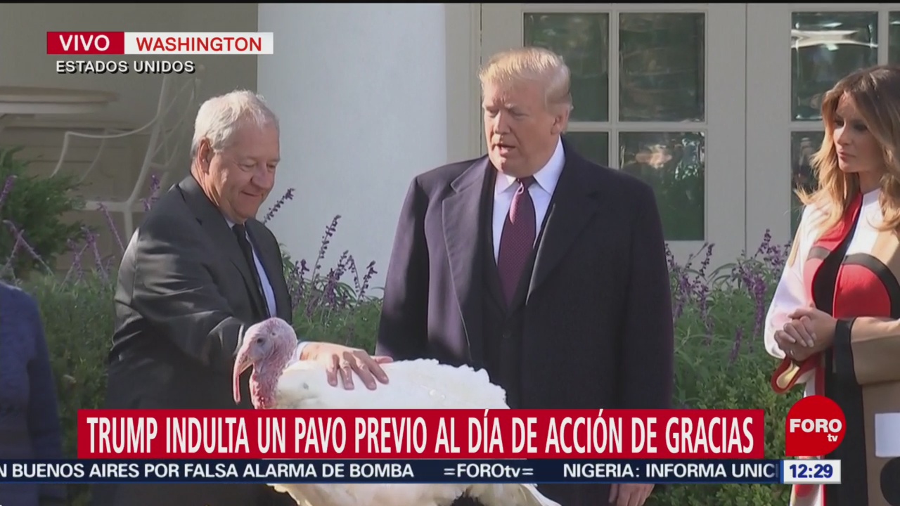 Trump indulta a un pavo, previo a Acción de Gracias
