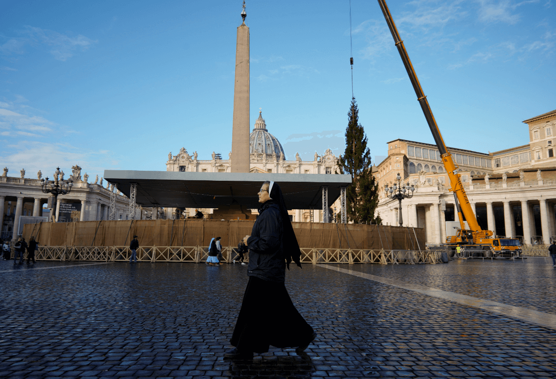 Una grúa levanta el árbol de Navidad en el Vaticano. (AP) 