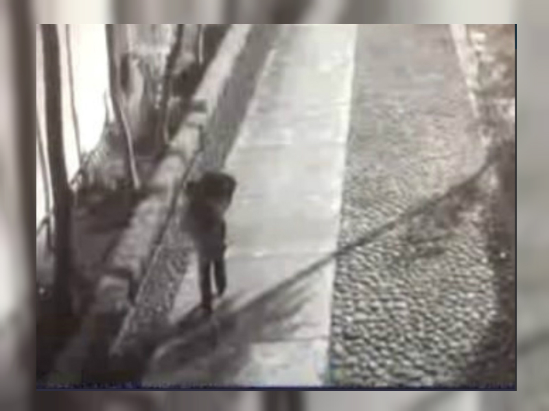Video muestra a hombre cargando maleta con restos de Ingrid Alisson