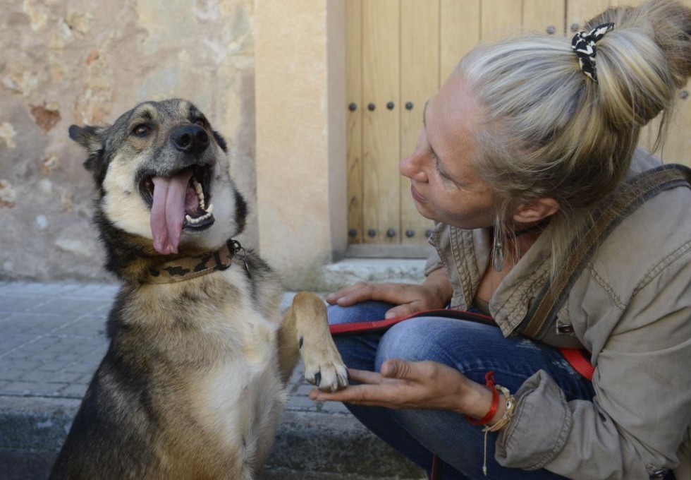 El rescate de Wolfi, un perro violado, víctima de zoofilia en España