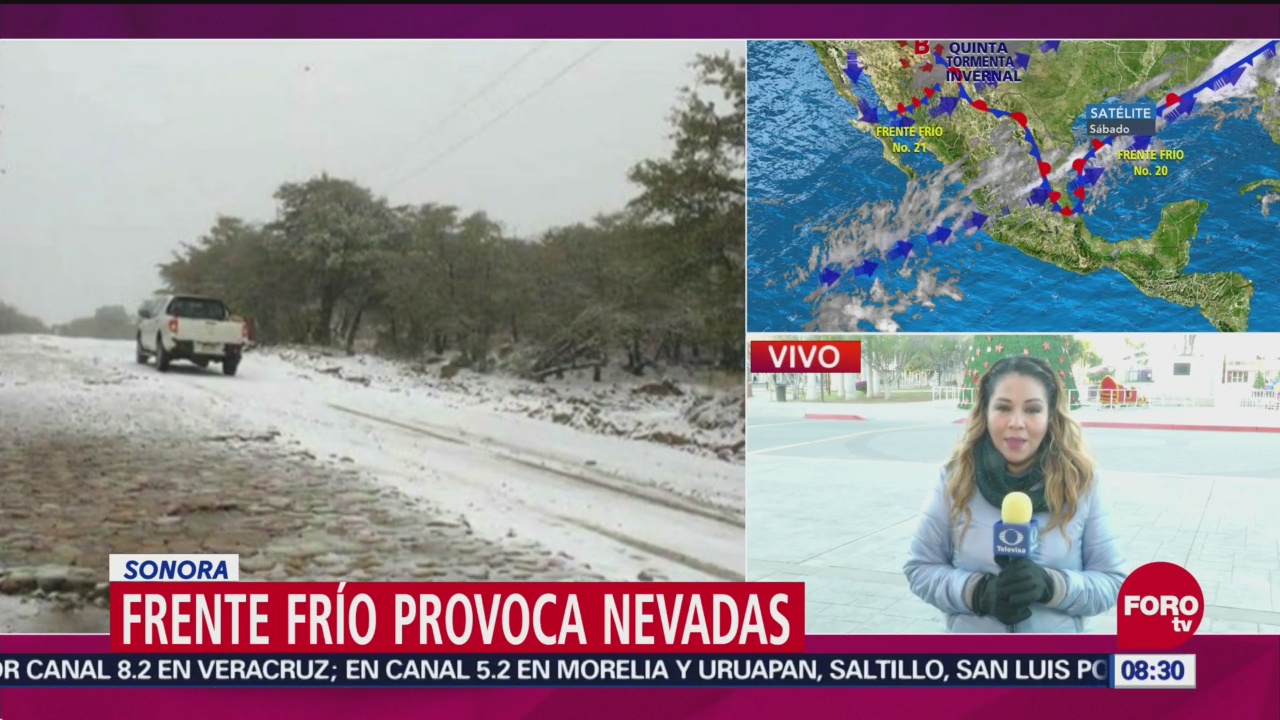 Continúan las nevadas en Sonora
