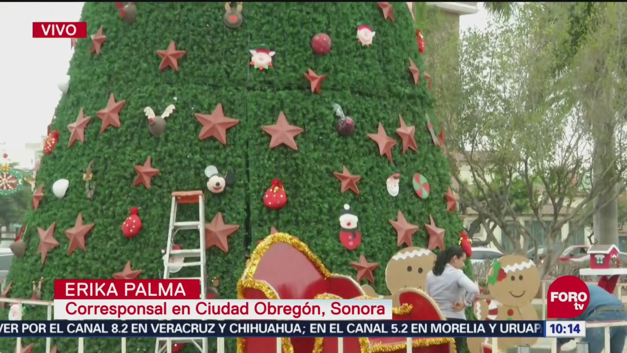 Encienden árbol navideño en Ciudad Obregón, Sonora