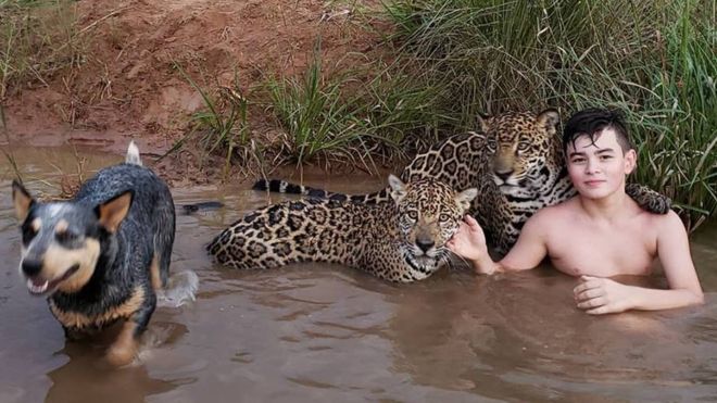 foto-viral-nino-jugando-jaguares-brasil