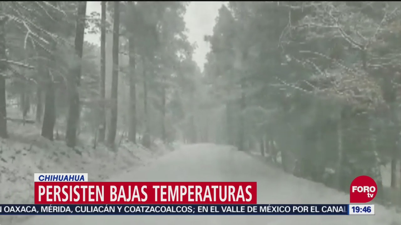 Frente Frío Deja Bajas Temperaturas En Coahuila