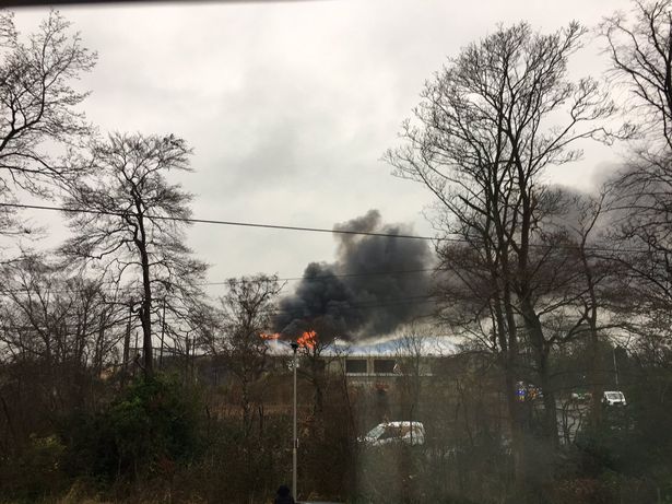 Incendio provoca cierre de zoológico de Chester, Reino Unido