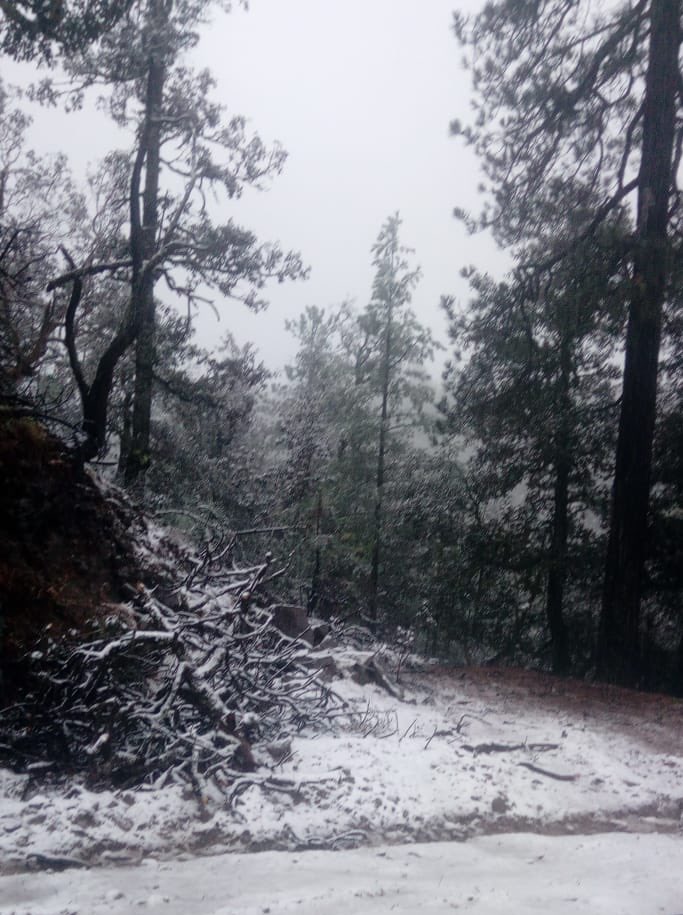 La Rosilla, en Durango, registró caída de nieve el 8 de diciembre.