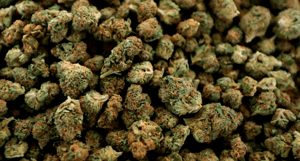 Michigan ya permite consumo de marihuana recreativa