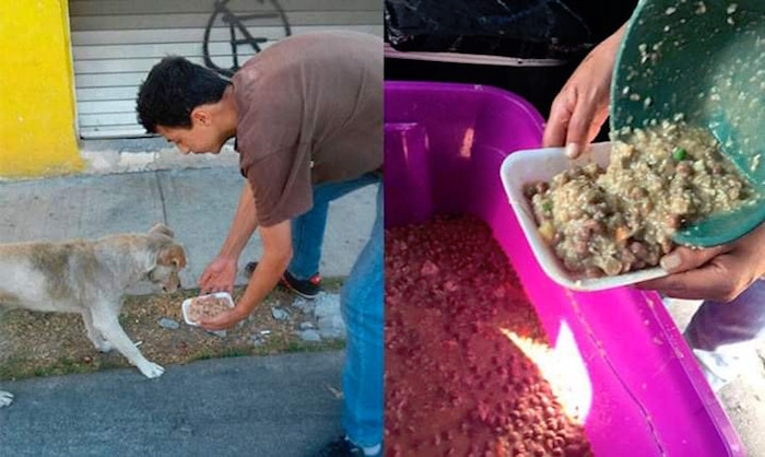 Alistan operativo para alimentar a perros de la calle