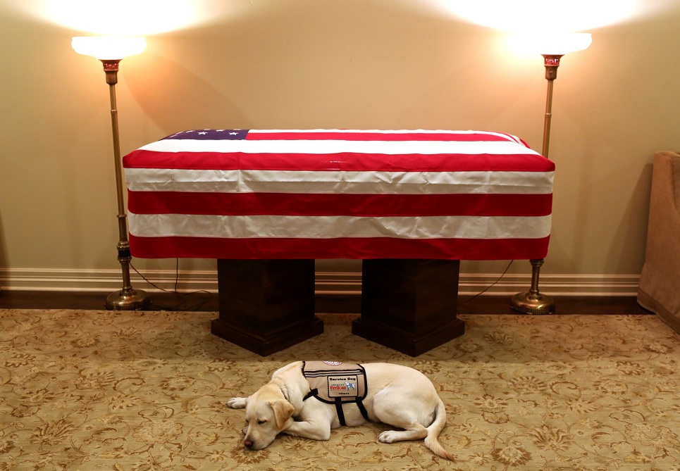 'Sully', el fiel perro de George H.W. Bush lo acompaña en su último viaje a Washington
