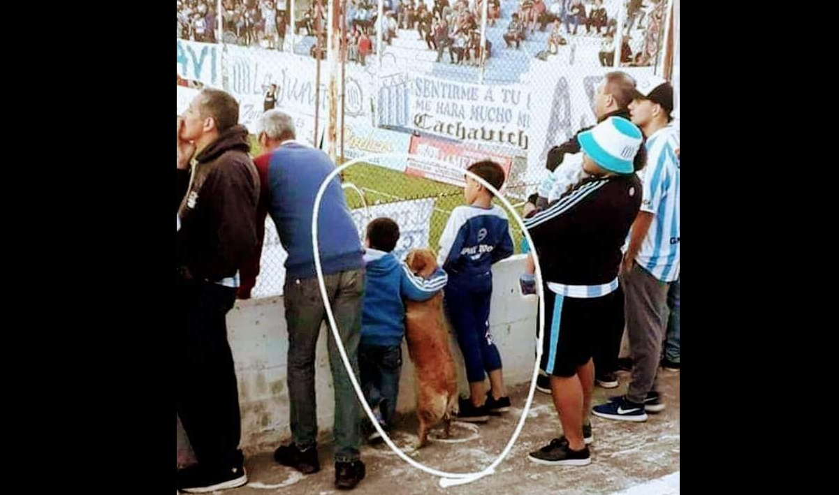 Conmovedora foto de niños viendo futbol con su perrito se viraliza