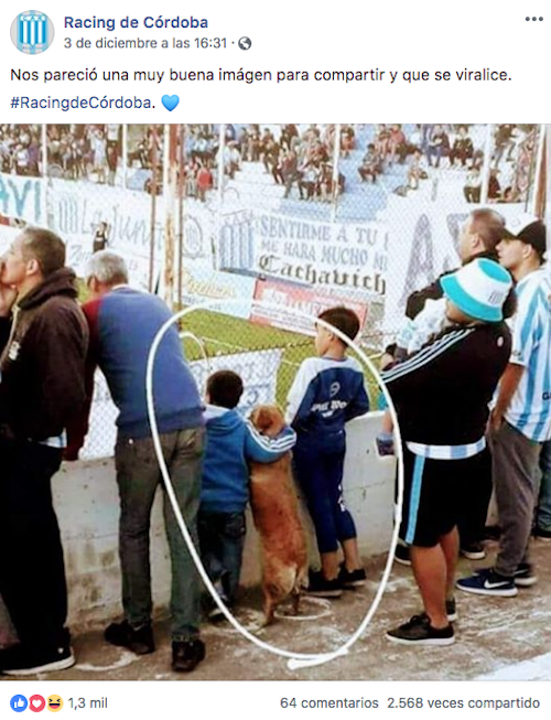 Foto Niños Perro Futbol Viraliza Redes Sociales