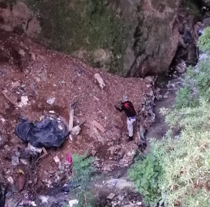 Rescatan a perro en barranca de Álvaro Obregón. (SSC)