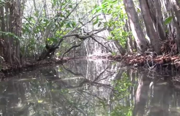 Realizan estudios para proteger reservas hidrológicas en la Península de Yucatán