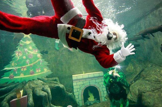 Bajo el agua, Santa recibe cartas en zoológico de Guadalajara